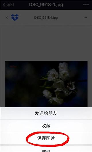 dropbox 保存图片教程