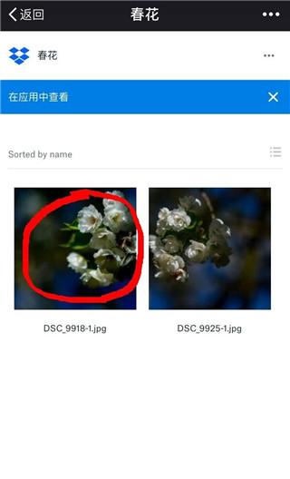 dropbox 保存图片教程