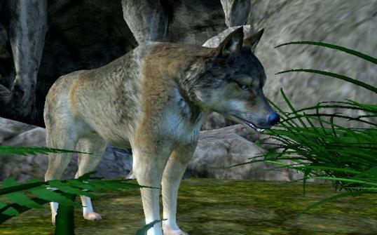 Wolf Simulator Evolution狼族模拟进化官方版