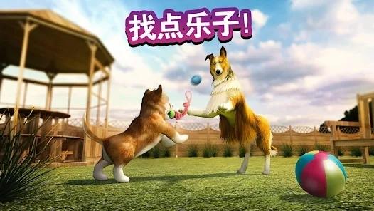 狗狗Dog Simulator最新版