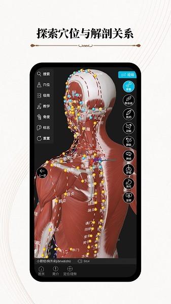 针灸大师 安卓版v3.3.3