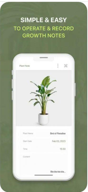 Plants Grow影视app官方版 v1.0