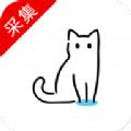 猫影视tv官方下载ios最新版 v2.1.1