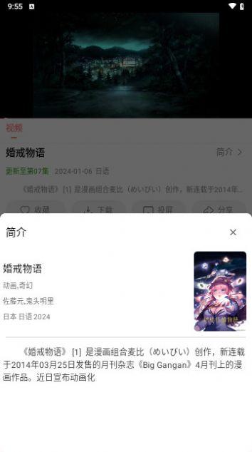 十里视频最新版app官方下载 v1.0