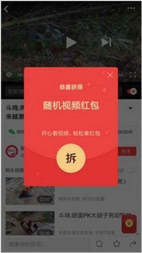 小黄蜂视频app图片1