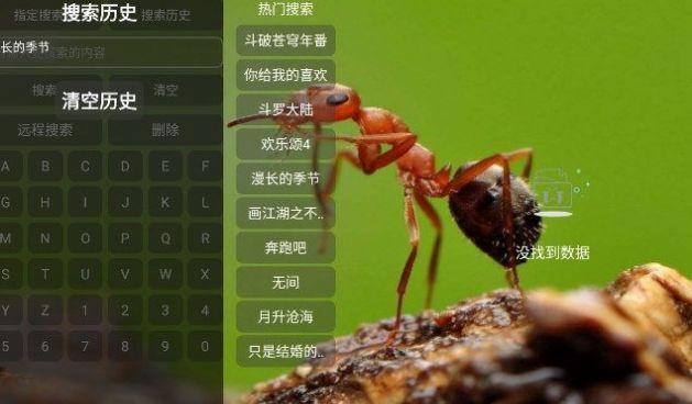 小蚂蚁多仓影视官方版app下载 v1.0.17