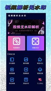 视频去水印解析