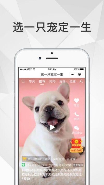 奶宠宠物短视频APP