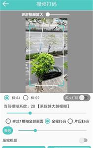 秋葵视频下载污app