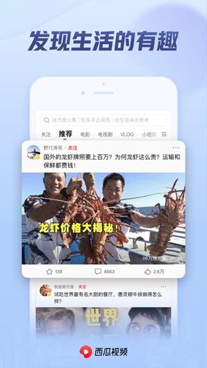 西瓜视频安卓app