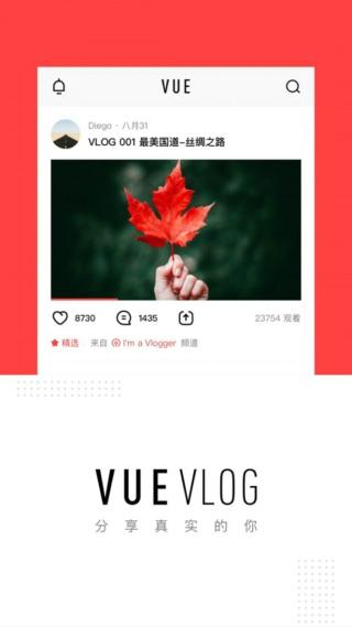 VUE视频软件信息