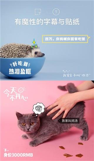 猫饼视频软件信息