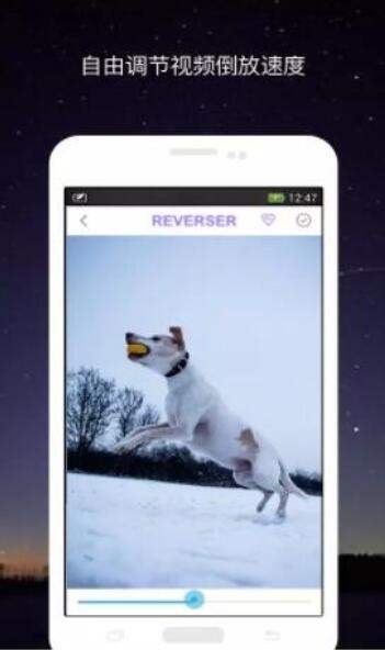视频倒放app