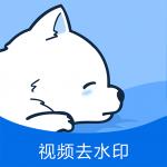 视频去水印专家官网版