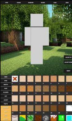 Custom Skin Creator