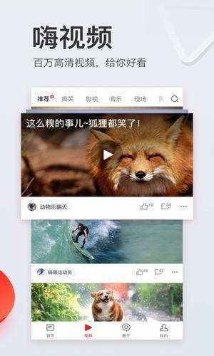 网易新闻专业版