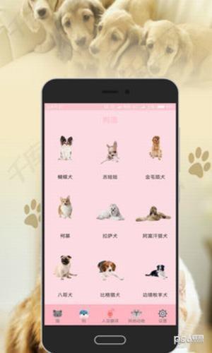 人猫狗翻译器app