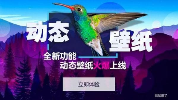 360小鸟壁纸app