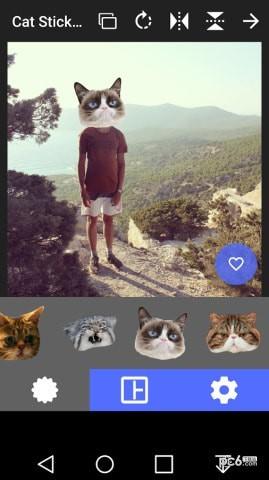 猫头贴纸app