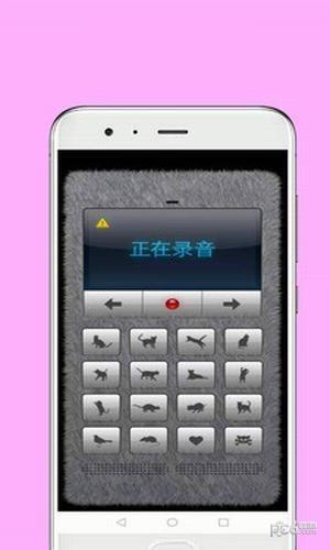 宠物交流器app