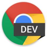 Chrome Dev