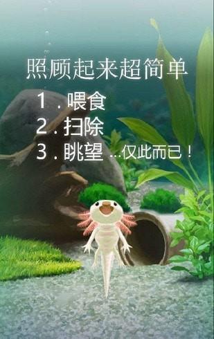 治愈的蝾螈中文版