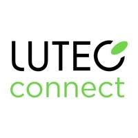 lutec connect官方版