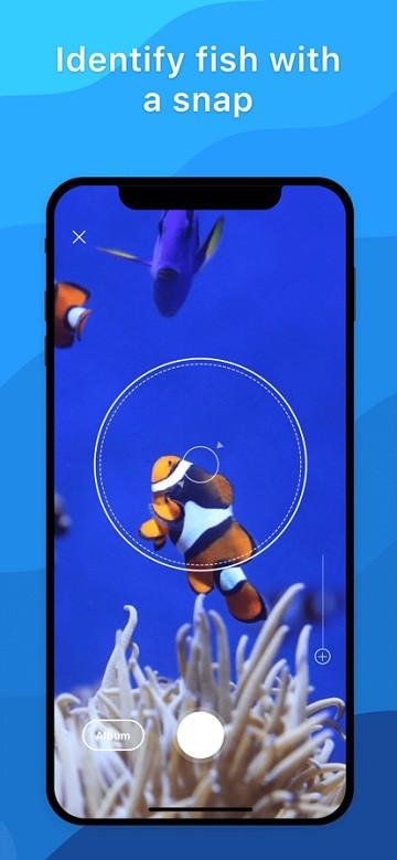 picture fish app