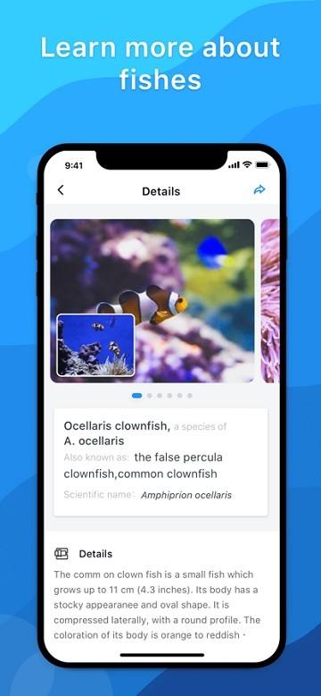 picture fish app