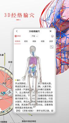 3Dbody解剖