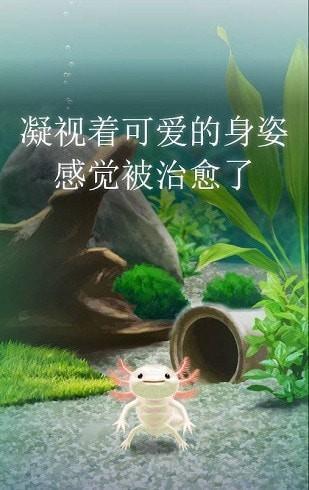 治愈的蝾螈中文版