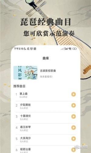 琵琶迷学习