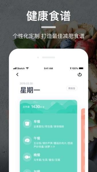 薄荷营养师app