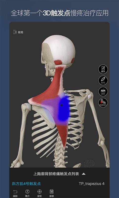 维萨里3D解剖