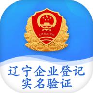 辽宁企业登记实名验证app