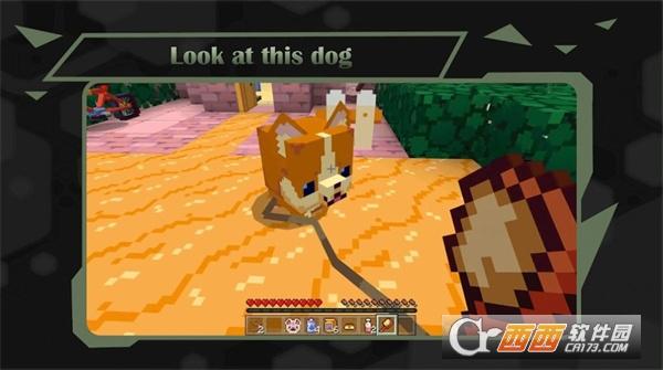 像素动物城官方最新版(Mod Animal Cute for MCPE)