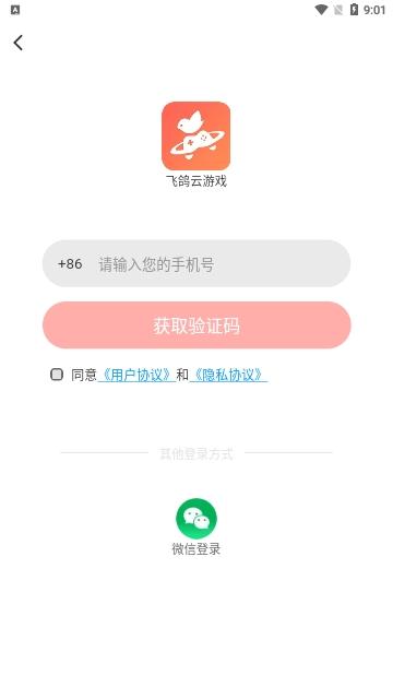 飞鸽云游戏免费版