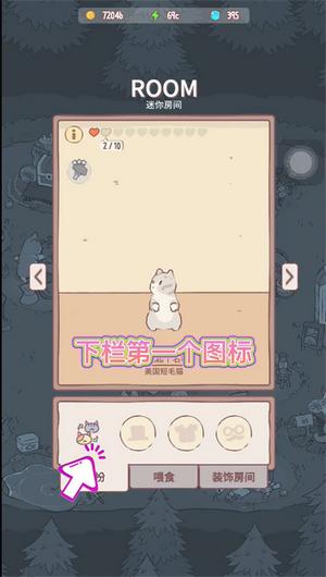 猫咪和汤国际版