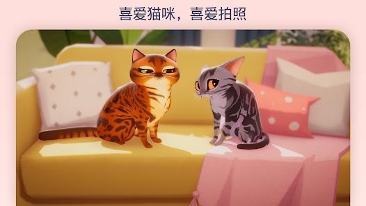 我的猫咪俱乐部英文版(My Cat Club)