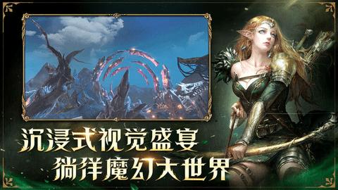 龙之灵域无限金币版