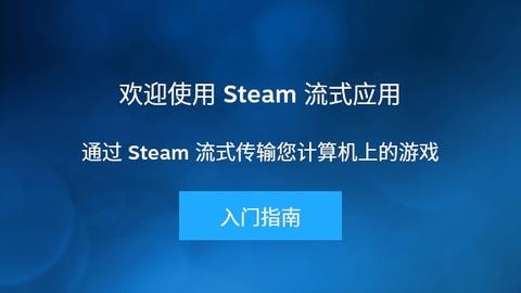 Steam