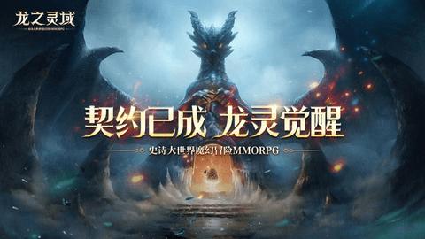 龙之灵域无限金币版