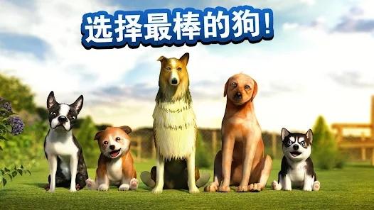 狗狗Dog Simulator最新版