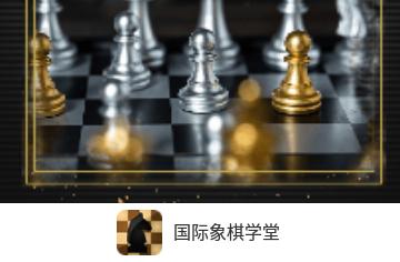 国际象棋大师无广告版