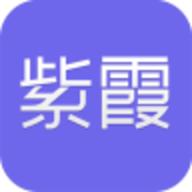 紫霞游戏app手机版