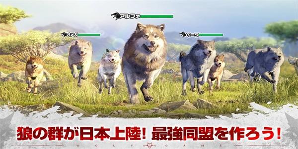 狼群荒野王国最新版