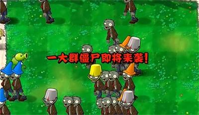 PVZ指导版