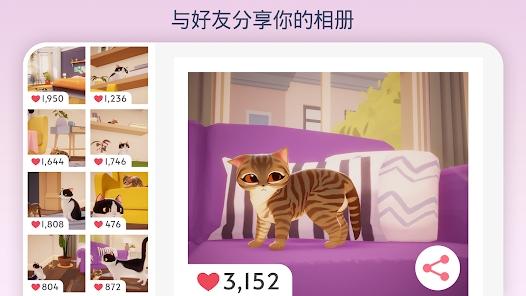 我的猫咪俱乐部英文版(My Cat Club)