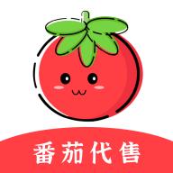 番茄代售app