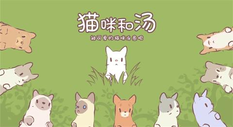 猫咪和汤国际版